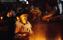 Buddha Statue at Theindawgyi Wearing a Garland of Orchids, Myeik, Myanmar / Image by Joe Cummings